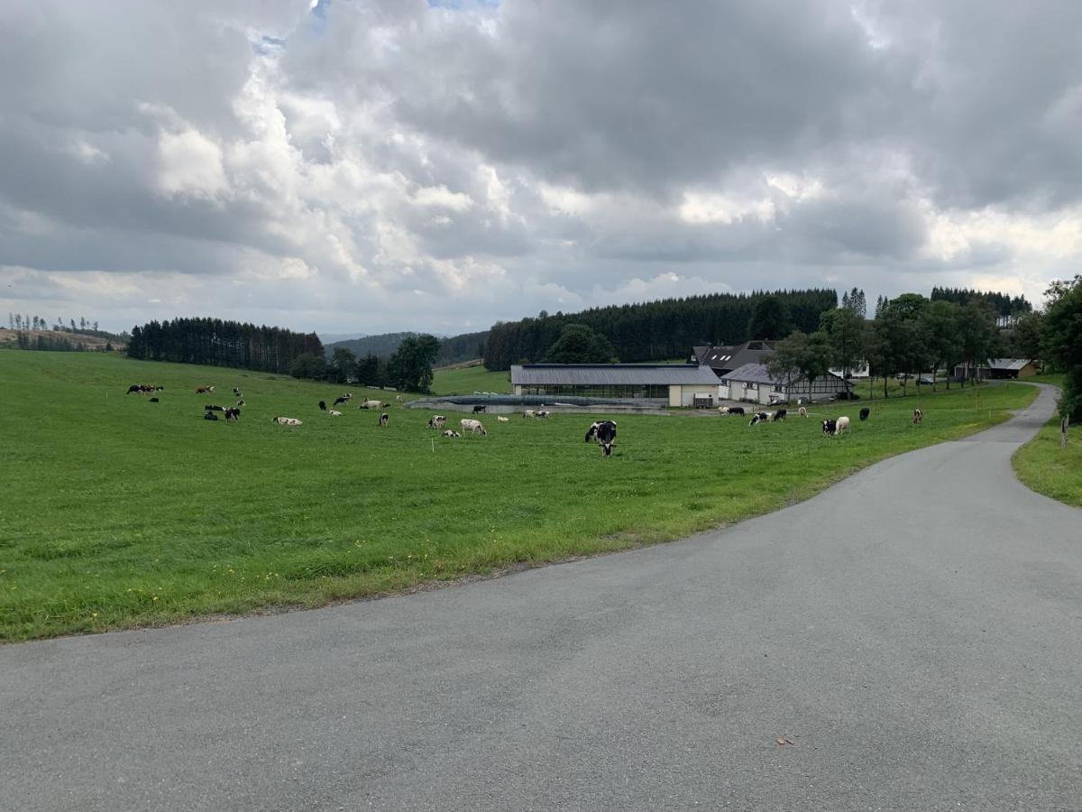 Pension Wittgensteiner Schweiz Bad Berleburg Eksteriør bilde